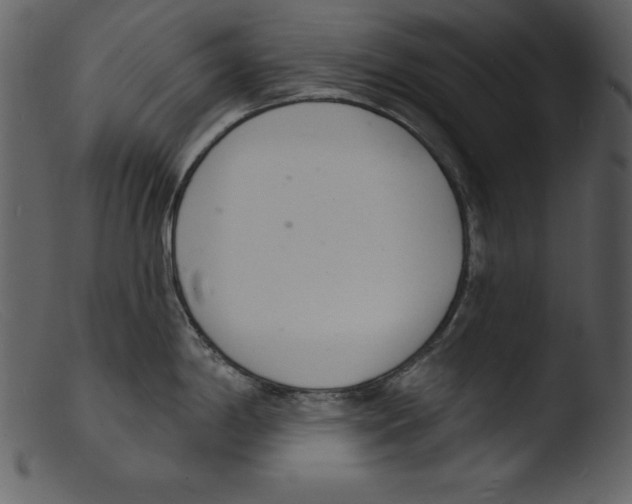 X0000103301198200809261306