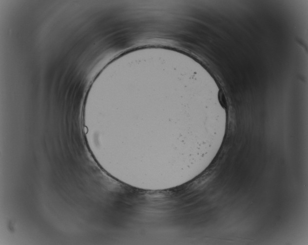 X0000103301199200809261306