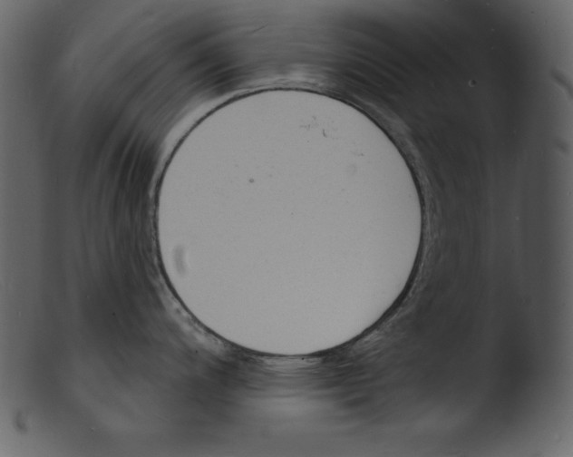 X0000103301200200809261306