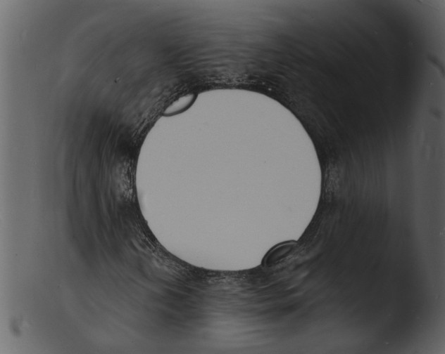 X0000103301202200809261305