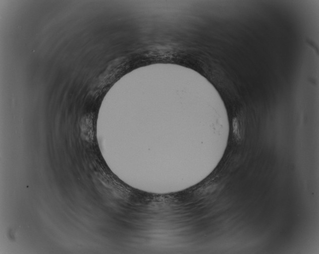 X0000103301203200809261305