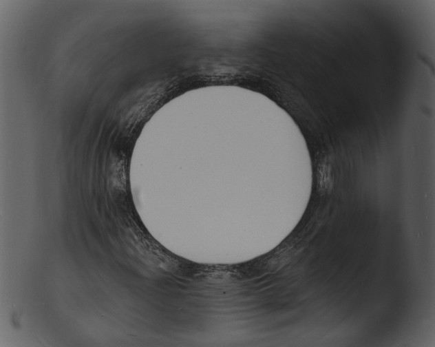 X0000103301204200809261305