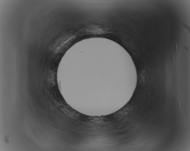X0000103301205200809261305