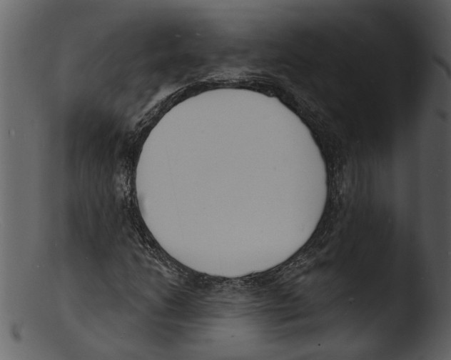 X0000103301206200809261305