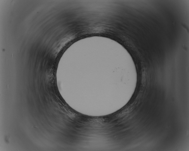 X0000103301210200809261305