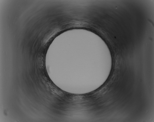 X0000103301211200809261305