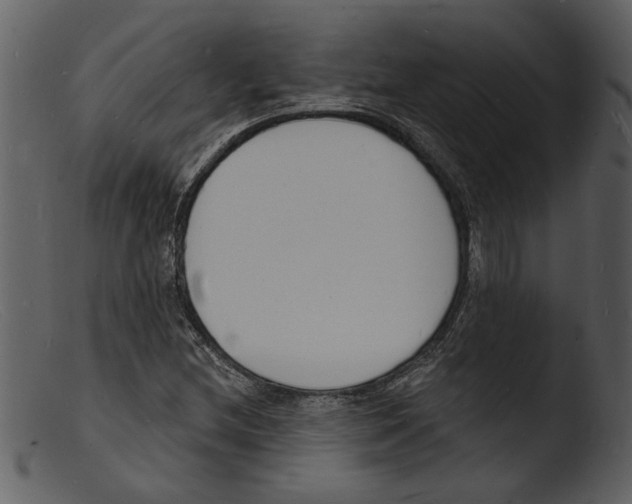 X0000103301212200809261305