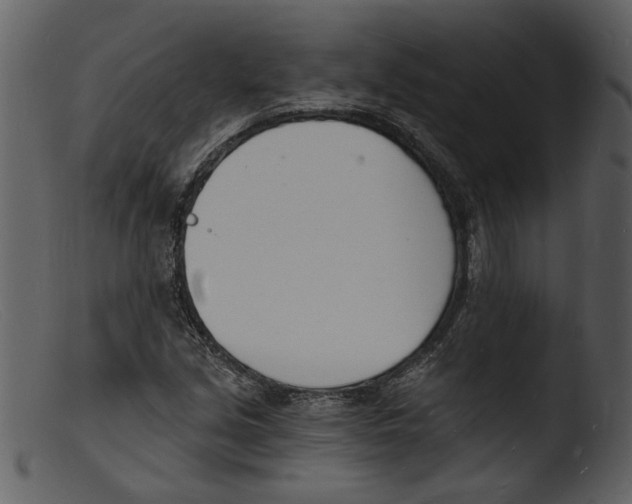 X0000103301213200809261305
