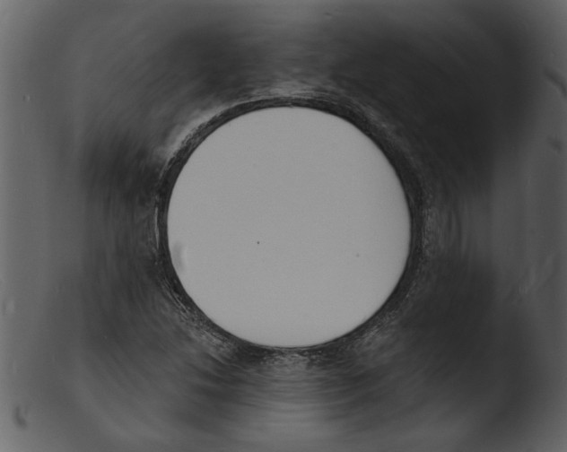 X0000103301214200809261305