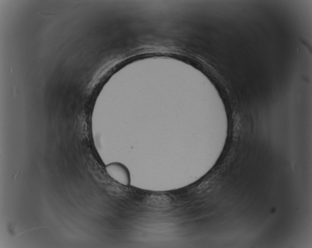 X0000103301215200809261305
