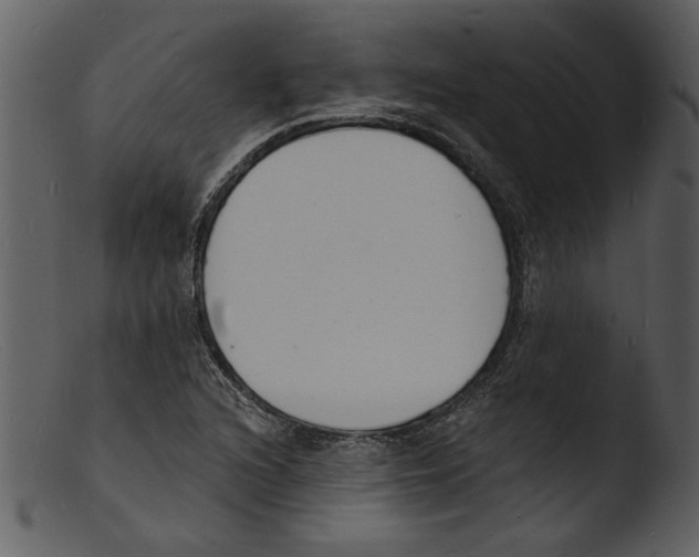 X0000103301216200809261305