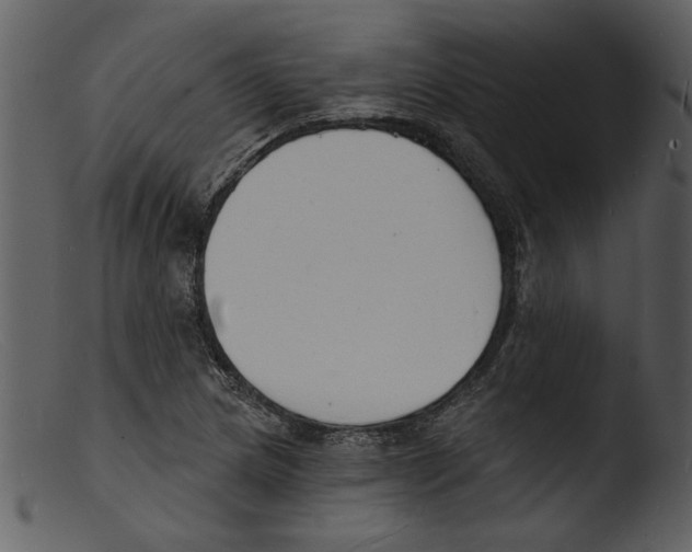 X0000103301217200809261305