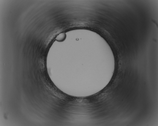 X0000103301218200809261305