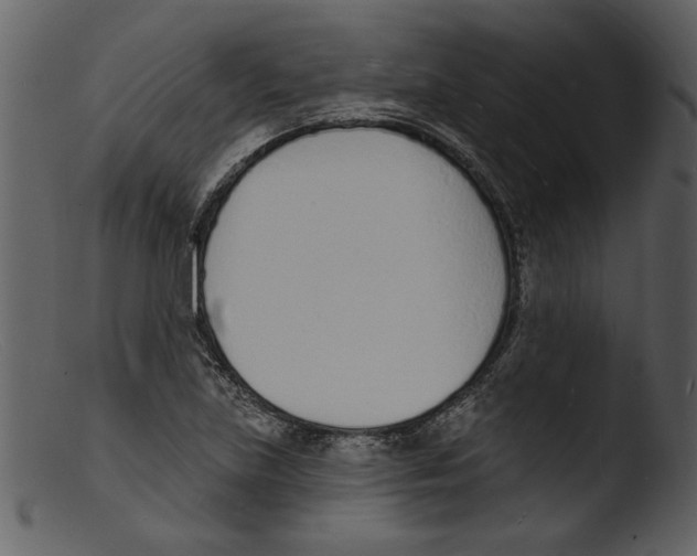 X0000103301219200809261305