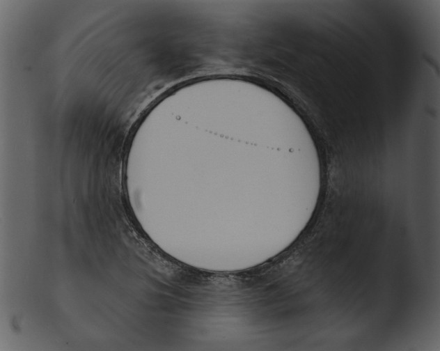 X0000103301220200809261305