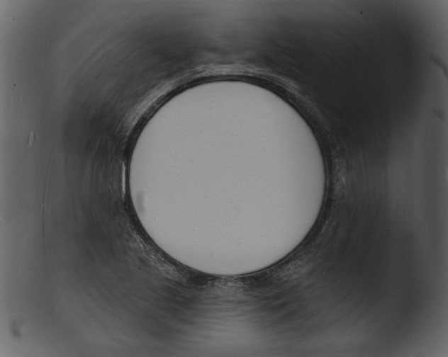 X0000103301221200809261305