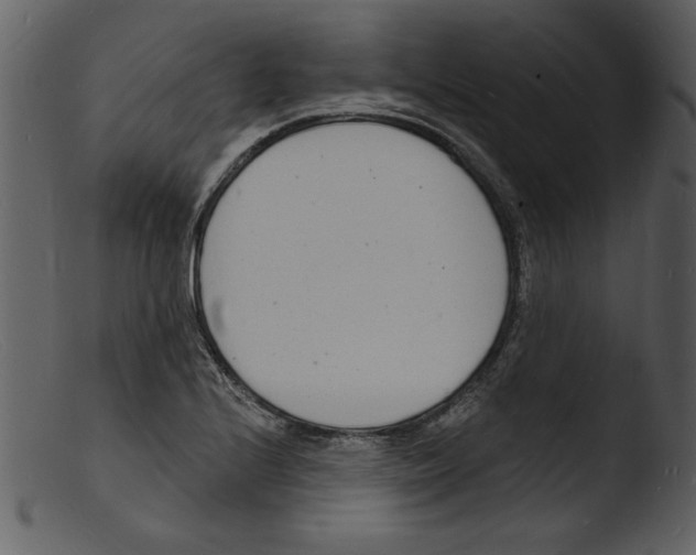 X0000103301224200809261305