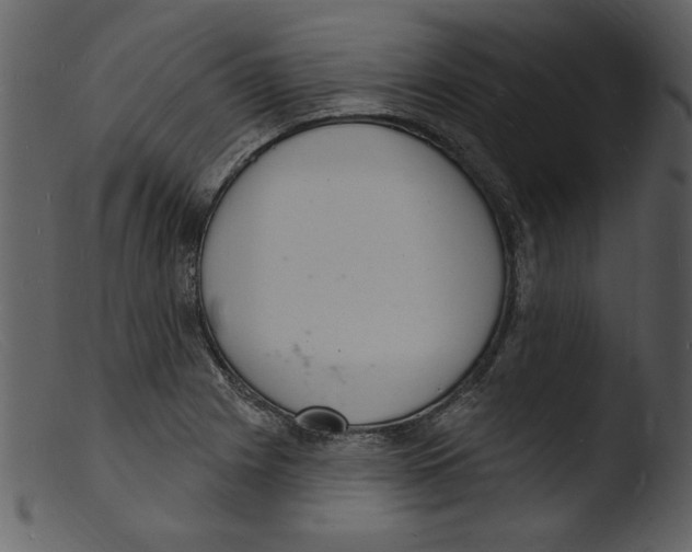X0000103301225200809261305
