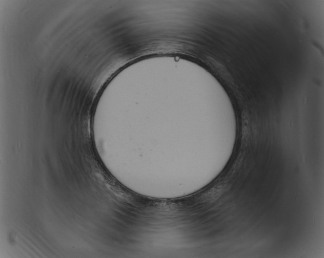 X0000103301226200809261305