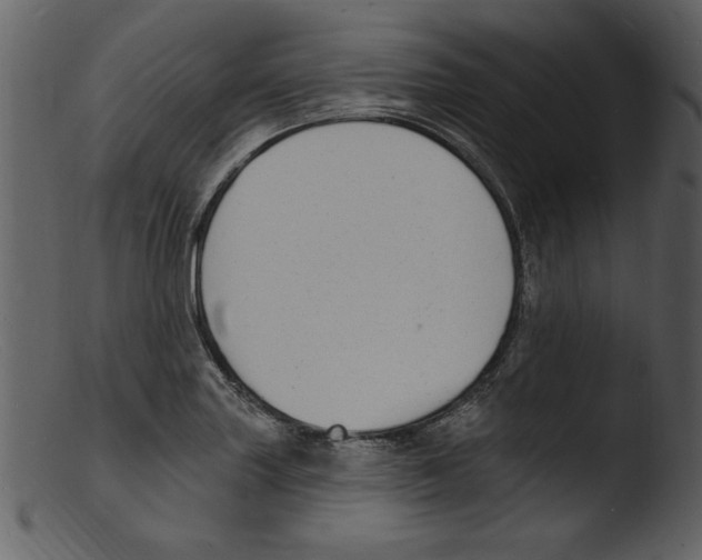 X0000103301227200809261305
