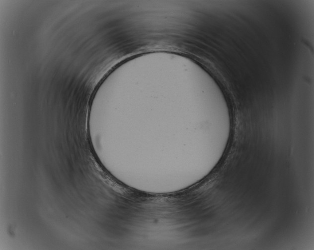 X0000103301228200809261305