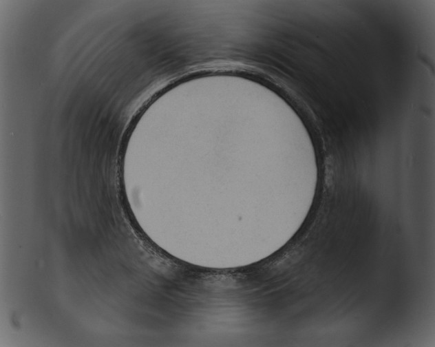 X0000103301229200809261305