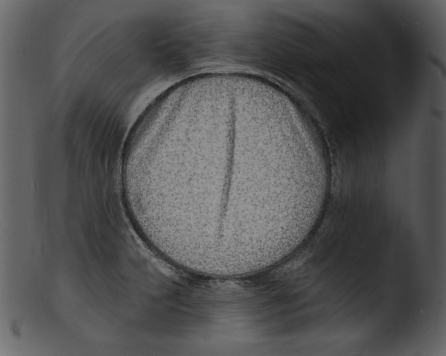 X0000103301231200809261305