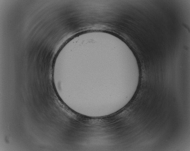 X0000103301232200809261305