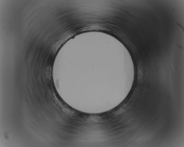 X0000103301233200809261305