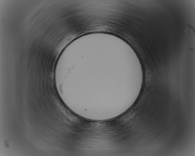 X0000103301234200809261305