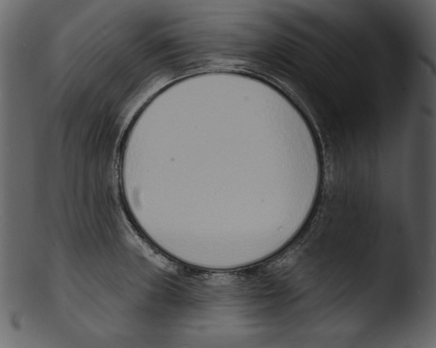 X0000103301235200809261305