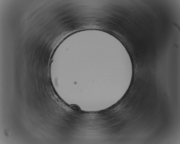 X0000103301236200809261305