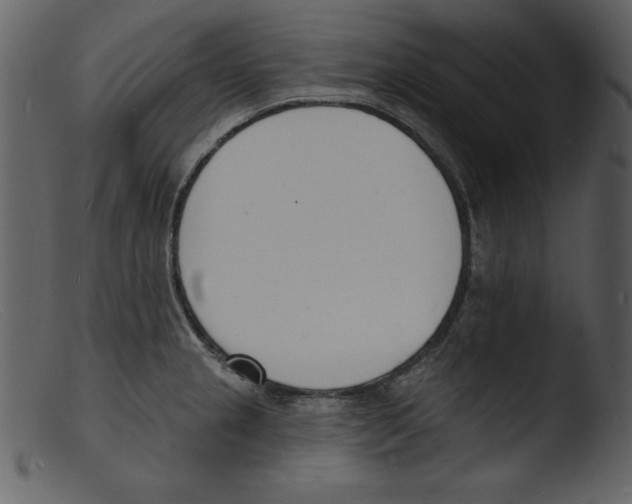 X0000103301237200809261305