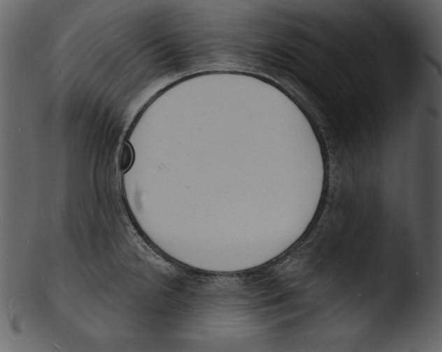 X0000103301238200809261305