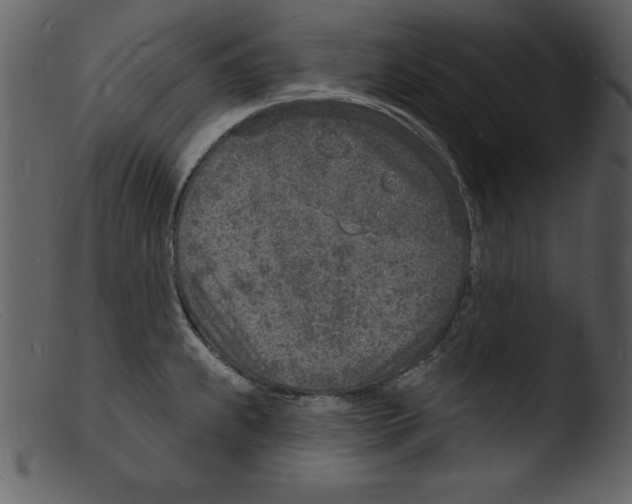X0000103301239200809261305