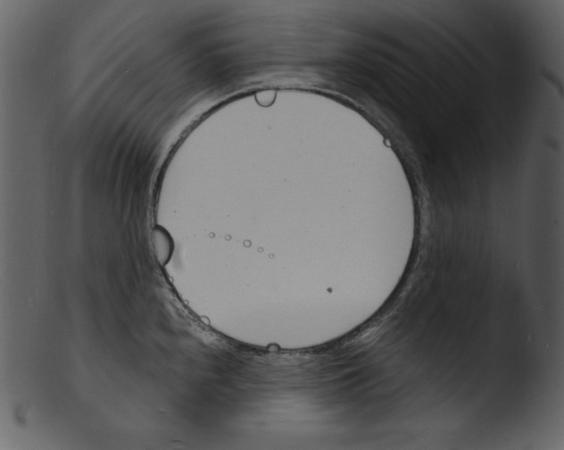 X0000103301240200809261305