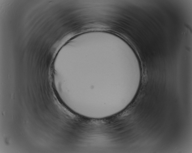 X0000103301243200809261305