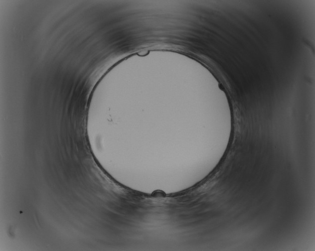 X0000103301244200809261305