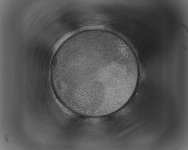 X0000103301245200809261306