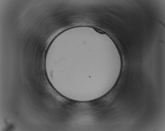 X0000103301246200809261306