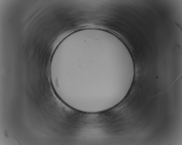 X0000103301247200809261306
