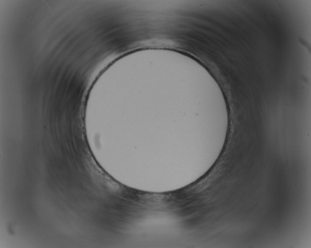 X0000103301248200809261306