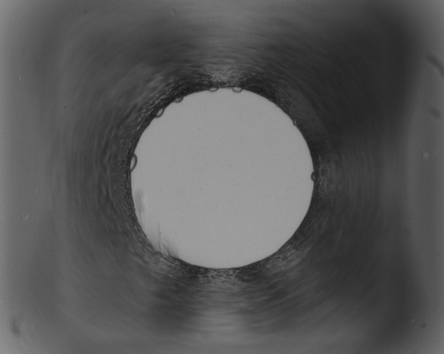 X0000103301249200809261305