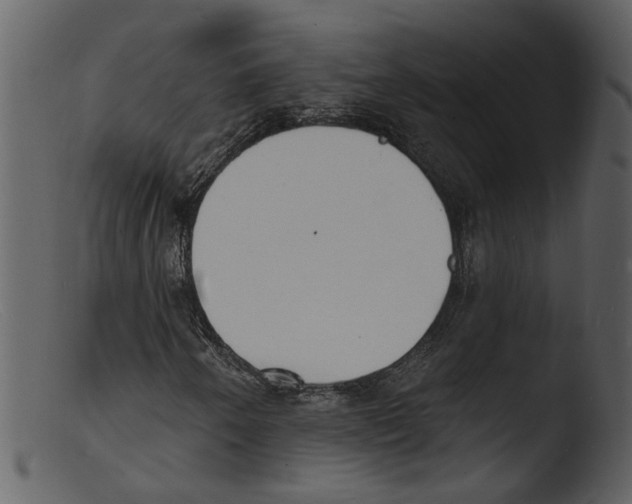 X0000103301250200809261305
