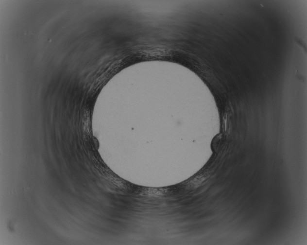 X0000103301251200809261305