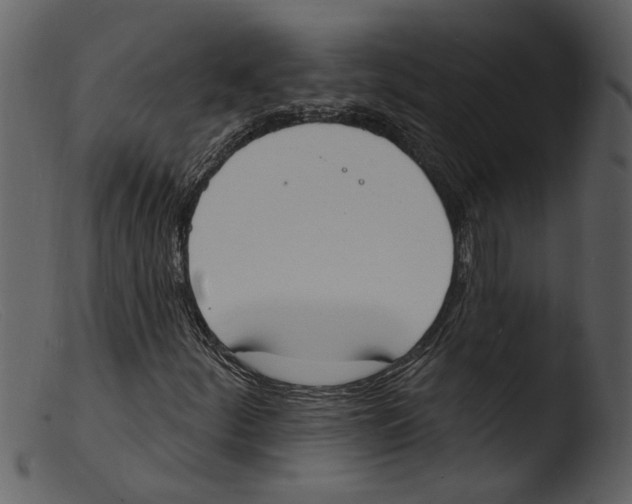 X0000103301252200809261305