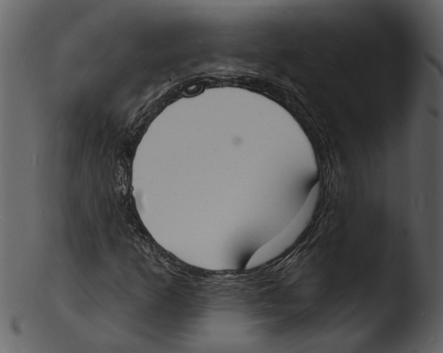 X0000103301253200809261305