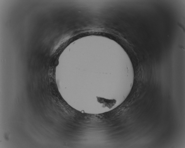X0000103301255200809261305