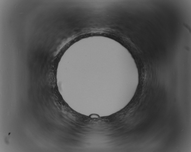 X0000103301256200809261305