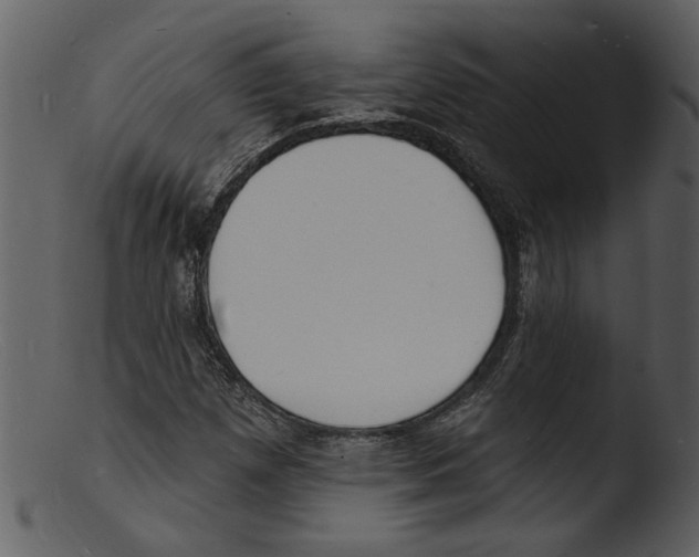 X0000103301257200809261305